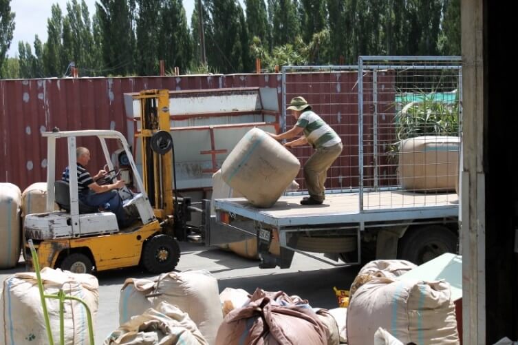 Unloading the wool truck